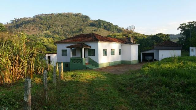 Dedetização e controle de pragas de Fazendas e Sítios em São José do Rio Preto e região.